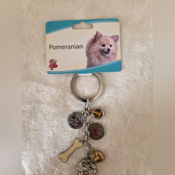 🐕‍🦺 Pet Products & Accessories - Picture 8 of 13
